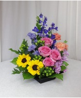 Little Ray of Sunshine Colors/Flowers May Vary