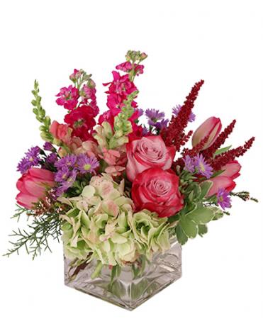 lively and luscious  valentines