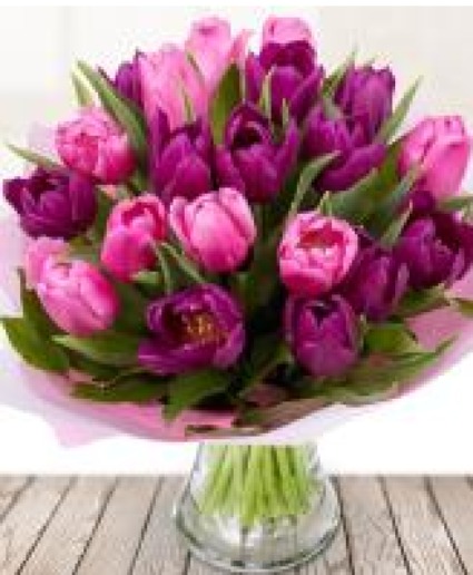 Lively tulips 