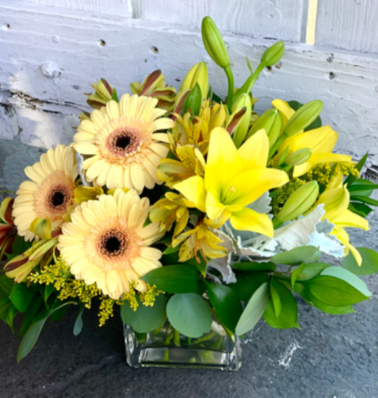 Lively Yellows 