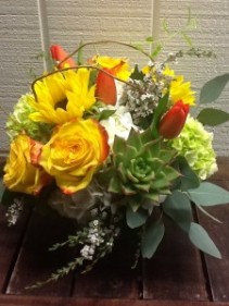 Living Green Arrangement cylinder arr