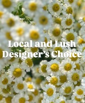 Summer Flowers