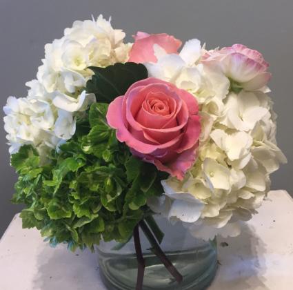 Lolo's Sweet Hydrangea 
