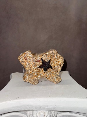 Lone Star Bird Seed Treat Gift Item 