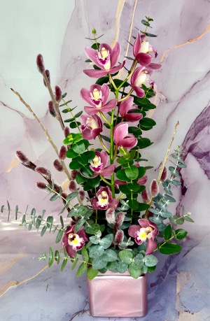 Lifetime in Pink  Cymbidium orchid