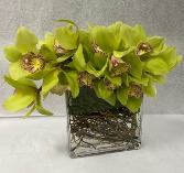 long lasting orchid  Arrangment 