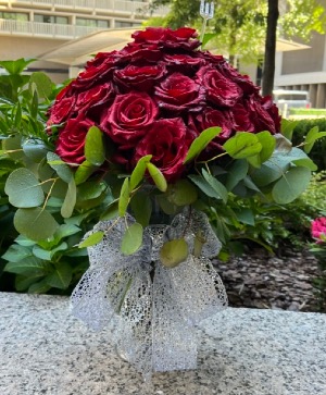 Long Stem Ecuadorian Red Roses 3 Dozen 