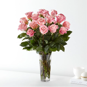 Long Stem Pink Rose Bouquet 
