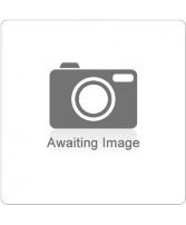 Long Stem Red & Pink Roses