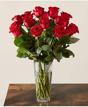 Long Stem Red Rose  Bouquet