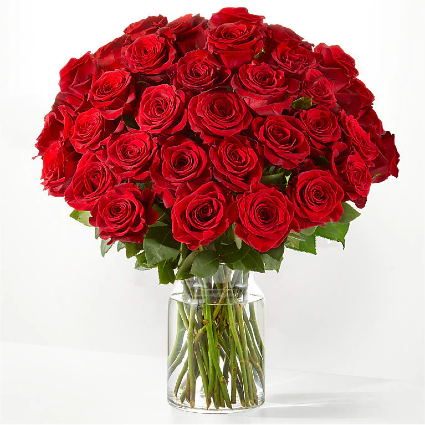 3 Dozen Long Stem Red Roses 