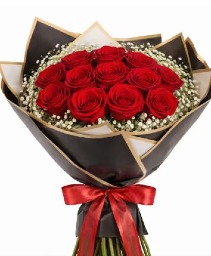 Long stem Red Roses wrapped 