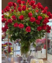 Long stems roses  100 Long stems roses 