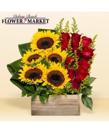 LOOKING INTO THE SKY   in Delray Beach, FL | Delray Beach Flower Market