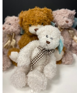 TeddyBears Teddy Bear
