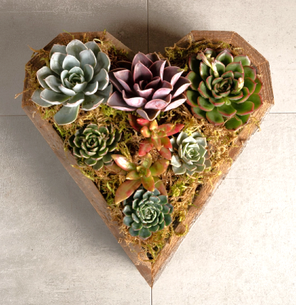 Love Grows Here Succulent Planter 