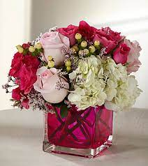 Love In Bloom 