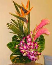 Love in the Tropics "Lavish Collection Must be ordered 3 days in advance" Tropical Arrangement