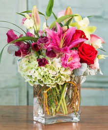 Love Notes Luxury Collection Call to Order