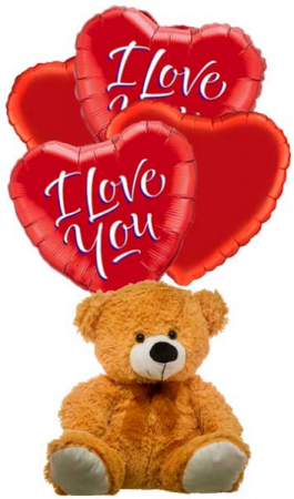 love of hugs Plush and balloons