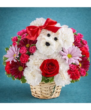 Love Pup assorted flowers