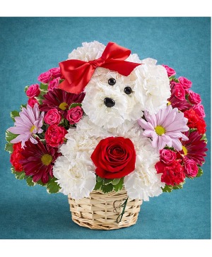 Love Pup FLOWER DOG