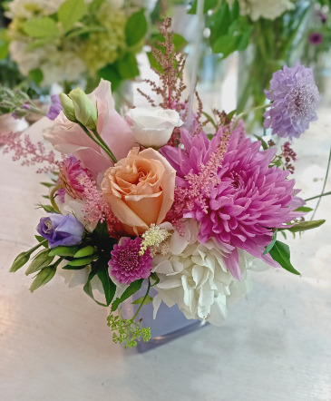 Romance Special  Designer's Choice in Glastonbury, CT | THE FLOWER DISTRICT