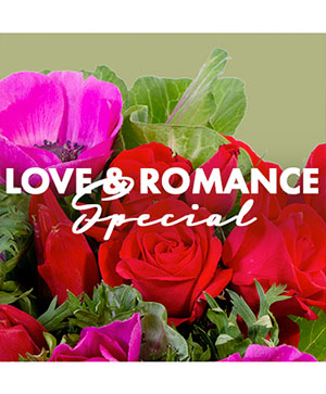 FLOWERS MARK VASSALLO　マーク・ヴァッサーロ Love & Romance Special Designer's Choice in Odessa, TX - MARK KNOX