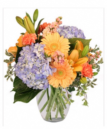 Morning Glow Fresh flowers