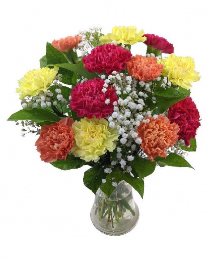 HELLO SUNSHINE ! One doz of carnations 
