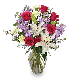 Winter Dreams $65.95 $75.95, $85.95