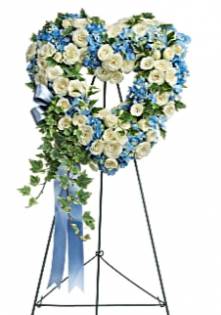 Lovely Blue Bloom 