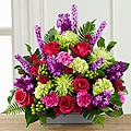 Lovely farewell 