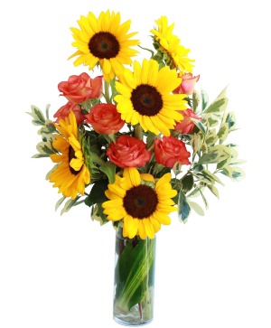 Lovely Fire Sunrise Oaxaca Florist 