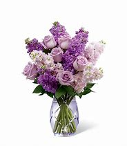 Lovely Lavender 