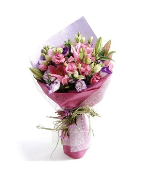 Lovely Lavender and pink Hand carry