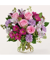 Lovely lavenders 