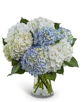 Lovely Lush Hydrangea Flower Arrangement