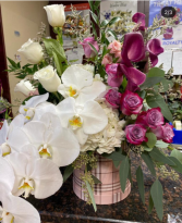 Lovely orchid Burberry  