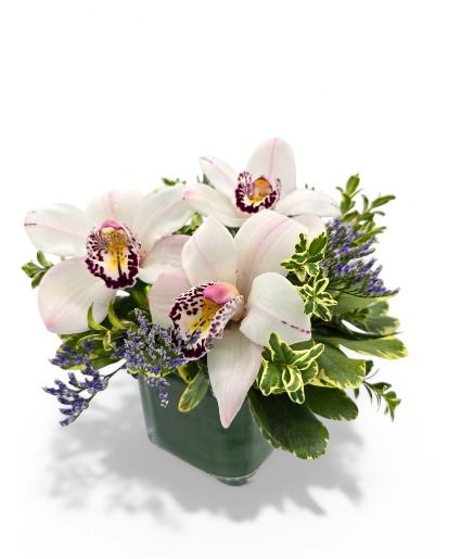 Lovely Orchids  Small Cube vase 