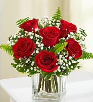 Lovely  Roses