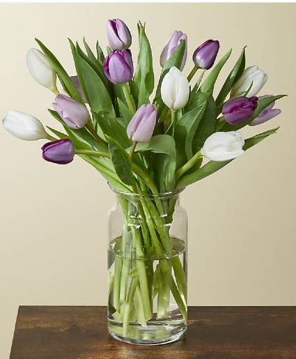 Lovely Tulips  Mothers day's 