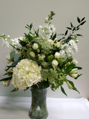 Lovely  white  