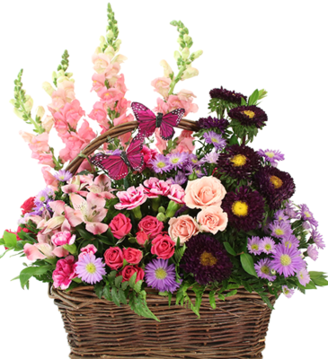 BLOOMIN’ Butterfly Basket  in Coleman, WI | COLEMAN FLORAL & GREENHOUSES