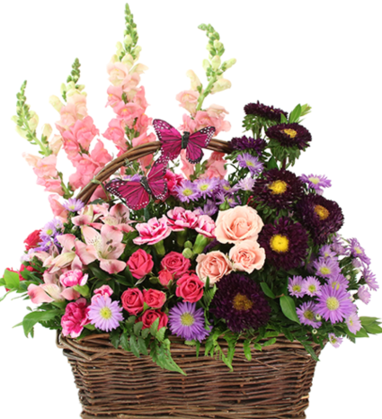 BLOOMIN’ Butterfly Basket 