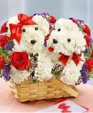 LOVES EMBRACE  in Williamsburg, VA | Blessing and Blooms Florist
