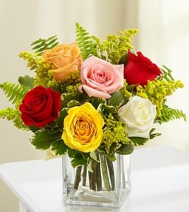 Love's Embrace Roses- Assorted 