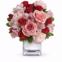 Love's Melody Arrangement