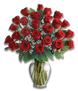 Love's Promise 24 ROSES 