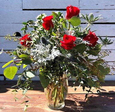 Loving Eucalyptus 